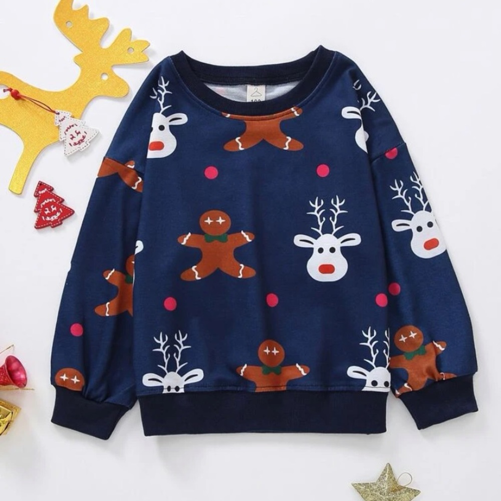 Winter Sweatshirt 🎄